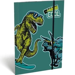 Папка с ластик A4 DINO COOL