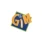 GIM